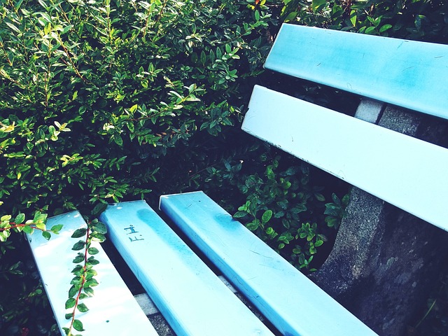 的成功经验 的成功经验