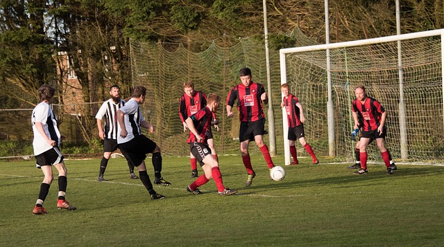 在欧洲豪门 在欧洲豪门