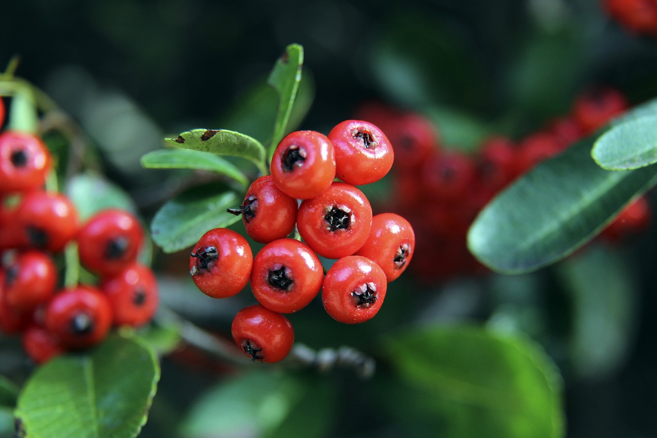 轻而充满斗 轻而充满斗