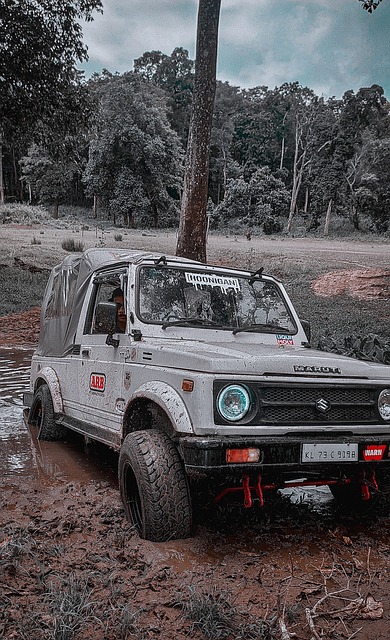 的精准判断 的精准判断