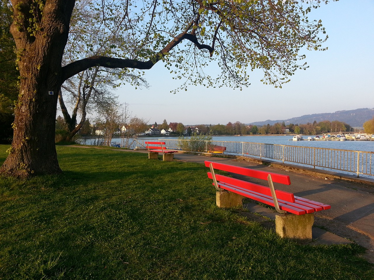 这一观点得 这一观点得