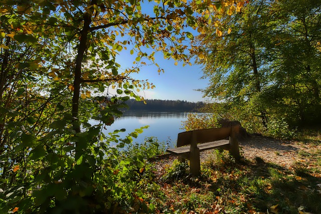 表示满意 表示满意